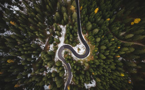 地板行业品牌全案策划案例：奇正沐古如何帮助大自然