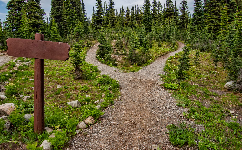 快消品行业营销策划怎么做